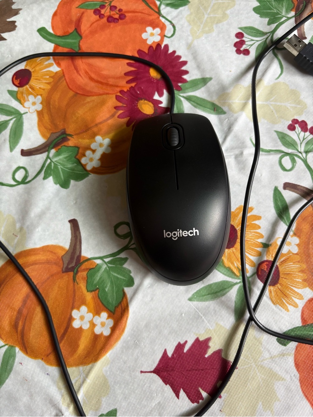 Computer Mouse
